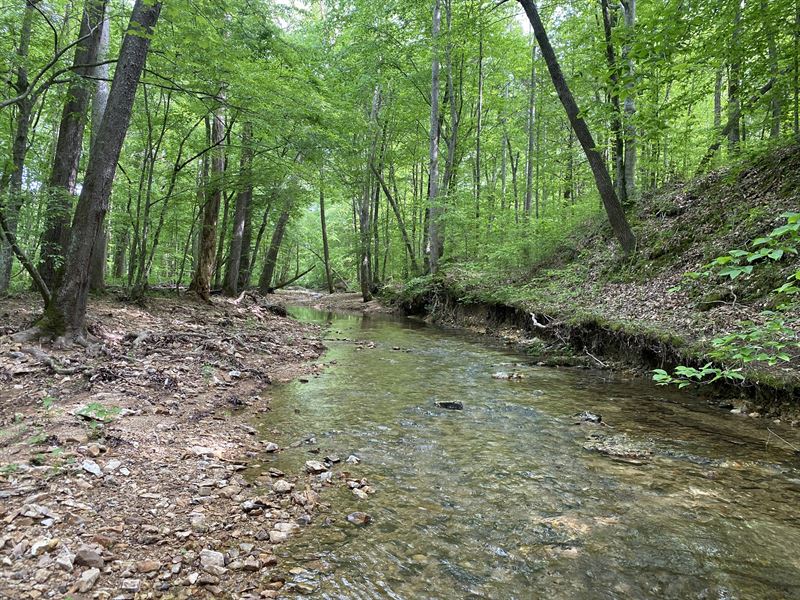 25+/- Acres, Wooded & Open, Creek : Linden : Perry County : Tennessee