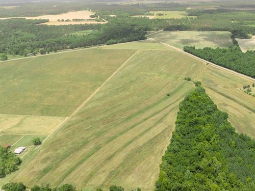 Irrigated Cropland in Decatur Co : Bainbridge : Decatur County : Georgia