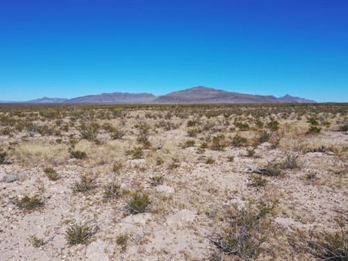 10 Acres Near Guadalupe Mountains : Salt Flat : Hudspeth County : Texas