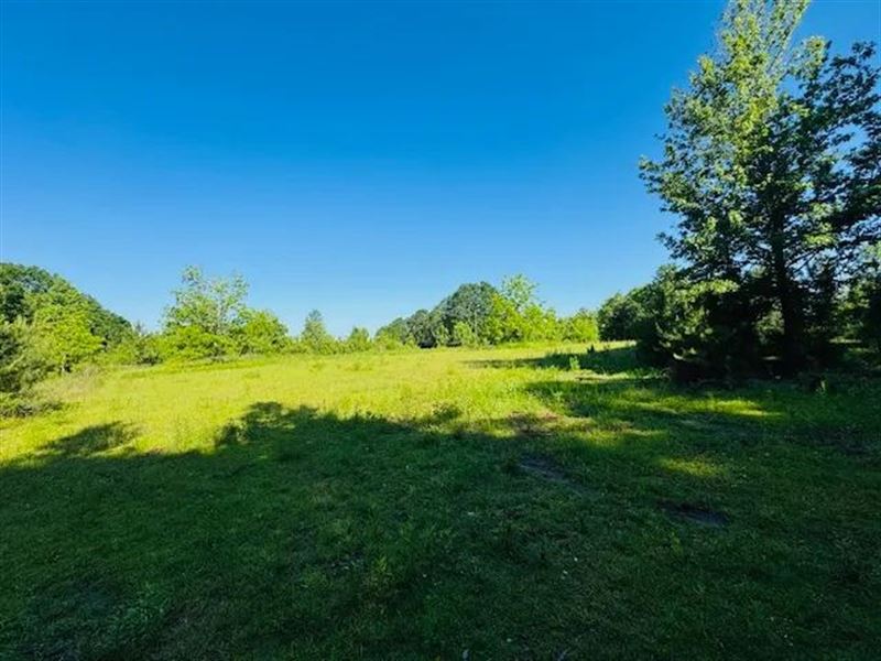 27.19 Acres with Covered Horse Aren : Tylertown : Walthall County : Mississippi