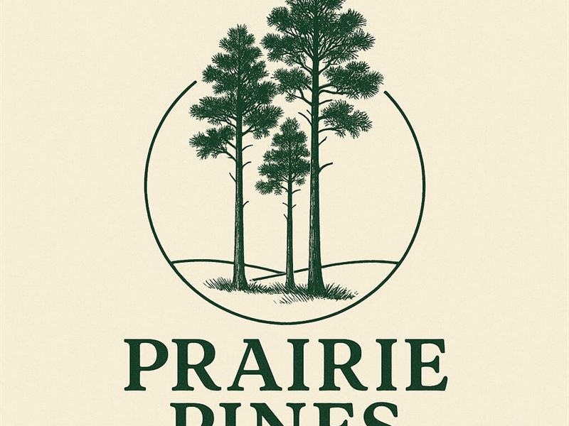 18.2 Acres, T-4, Round Prairie Ro : Huntsville : Walker County : Texas