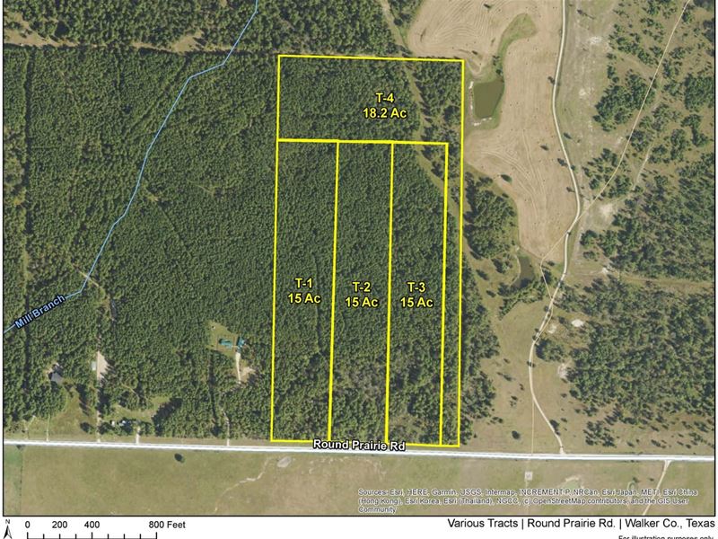 18.2 Acres, T-4, Round Prairie Ro : Huntsville : Walker County : Texas