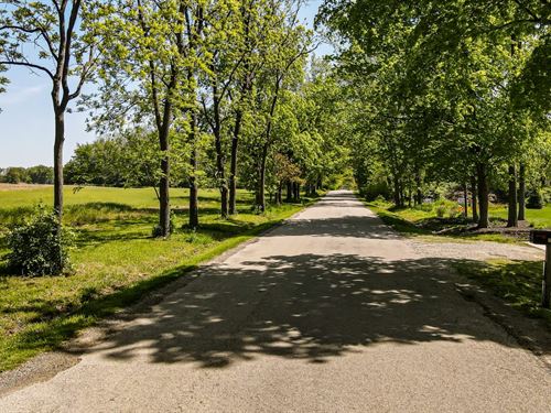 Sheehy Lot 3 : Paris : Edgar County : Illinois
