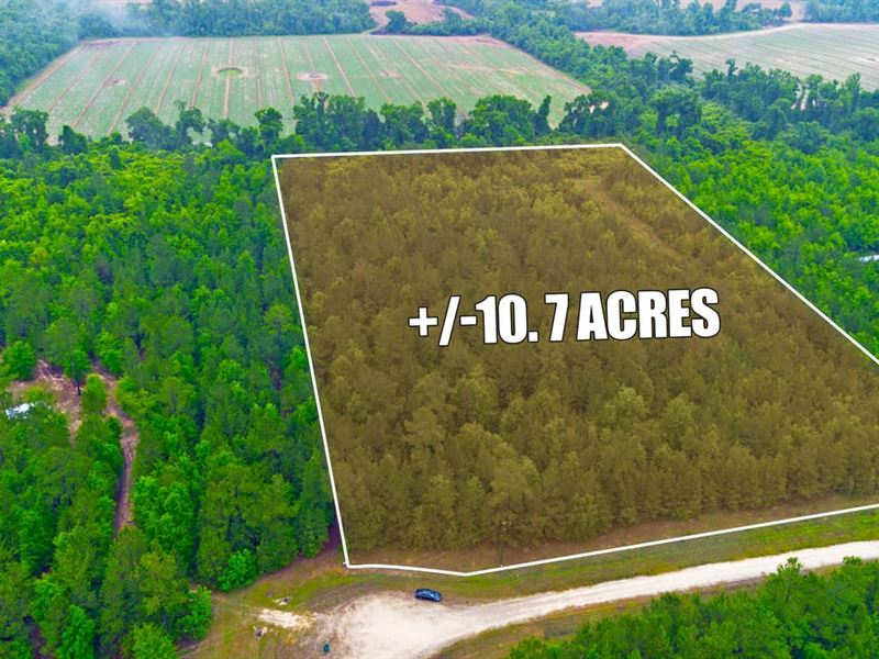 10.7 Acres in Jackson County FL : Marianna : Jackson County : Florida