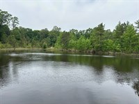 65 Wooded Acres Jackson County : Bradford : White County : Arkansas