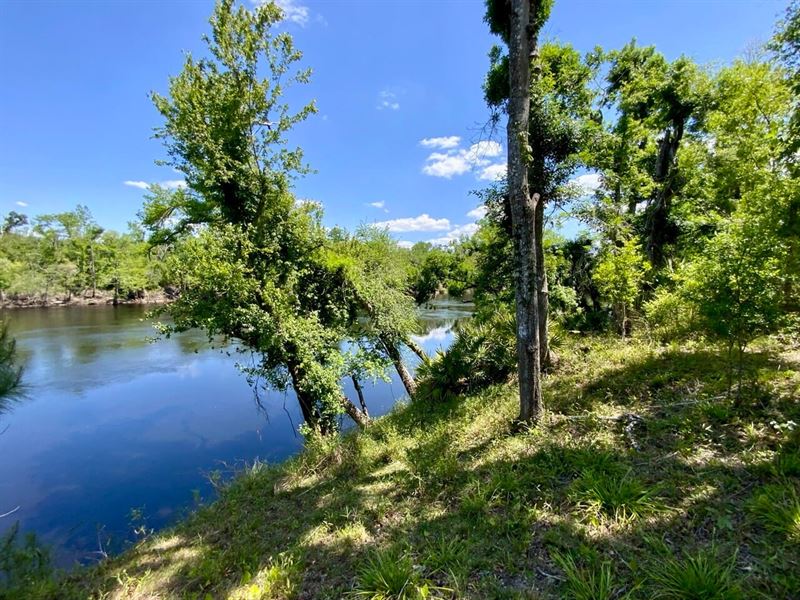 1903 SE Boundary Bend Way : Lee : Madison County : Florida
