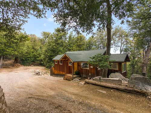 The Treehouse Lookout : Palomar Mountain : San Diego County : California