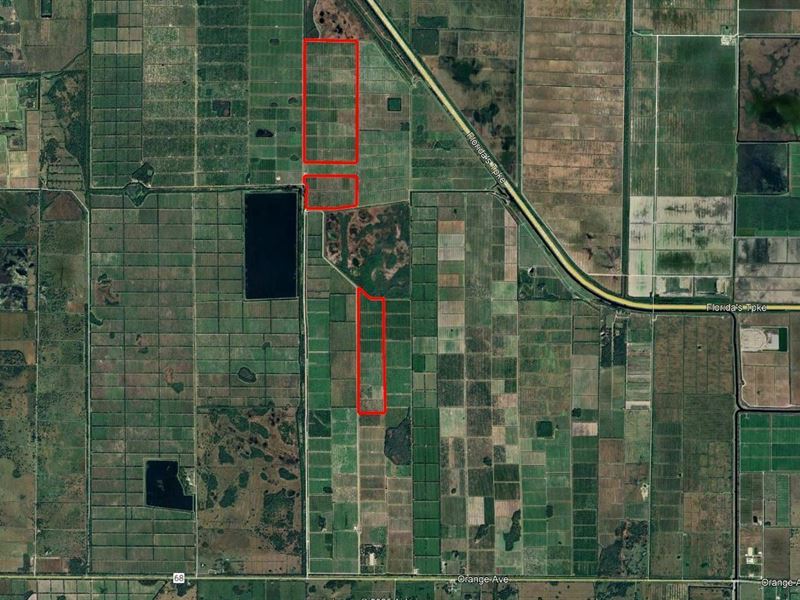 Orange Avenue Citrus Grove : Fort Pierce : Saint Lucie County : Florida