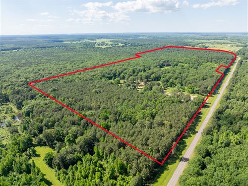 235 Acre Premier Hunting Property : Clarksville : Red River County : Texas