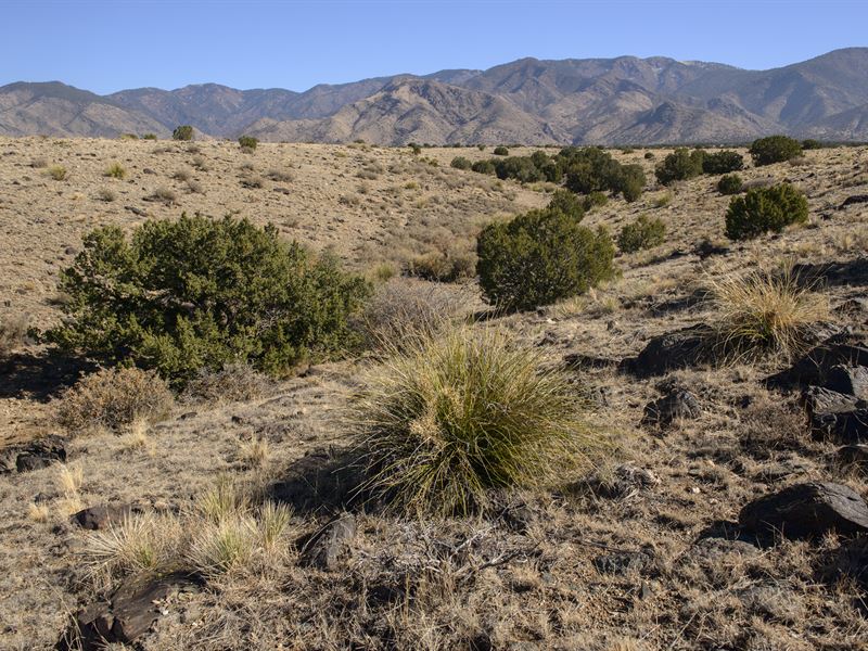 Camp, Build, Breathe-It's All Here : Belen : Valencia County : New Mexico