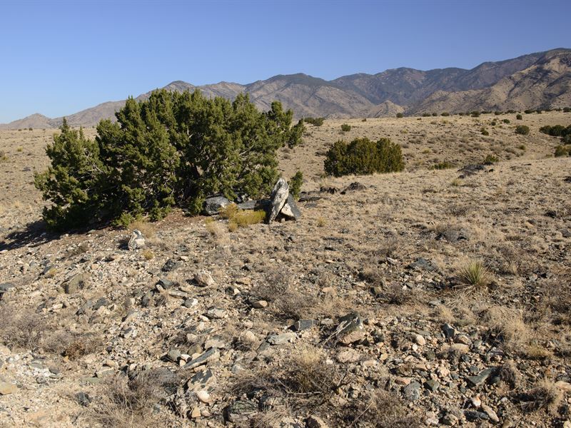 Private Land Near Mountain Base : Belen : Valencia County : New Mexico