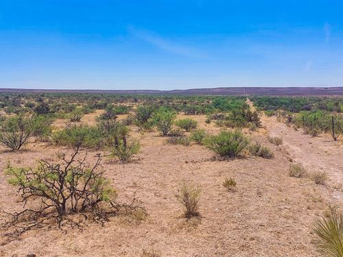 City Living vs 20 Acres of Freedom : Sierra Blanca : Hudspeth County : Texas