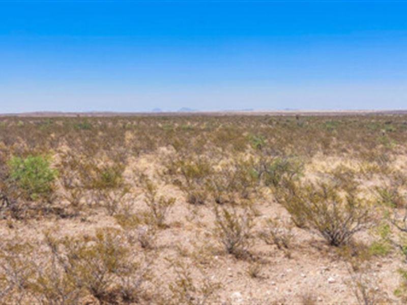City Living vs 20 Acres of Freedom : Sierra Blanca : Hudspeth County : Texas