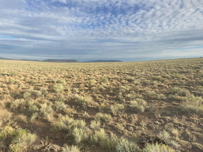 Live Free. Fish Well. Thrive : Jaroso : Costilla County : Colorado