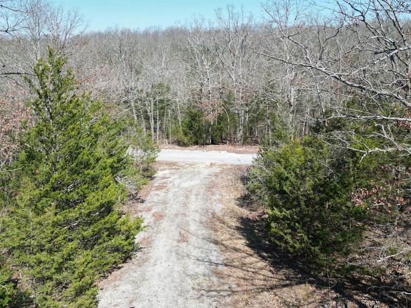 This AR Lot Wants You. $99 : Horseshoe Bend : Izard County : Arkansas