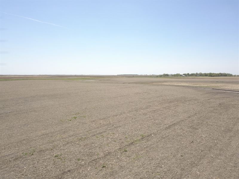 62.82 Acres-Brown County Farm & Crp : Houghton : Brown County : South Dakota