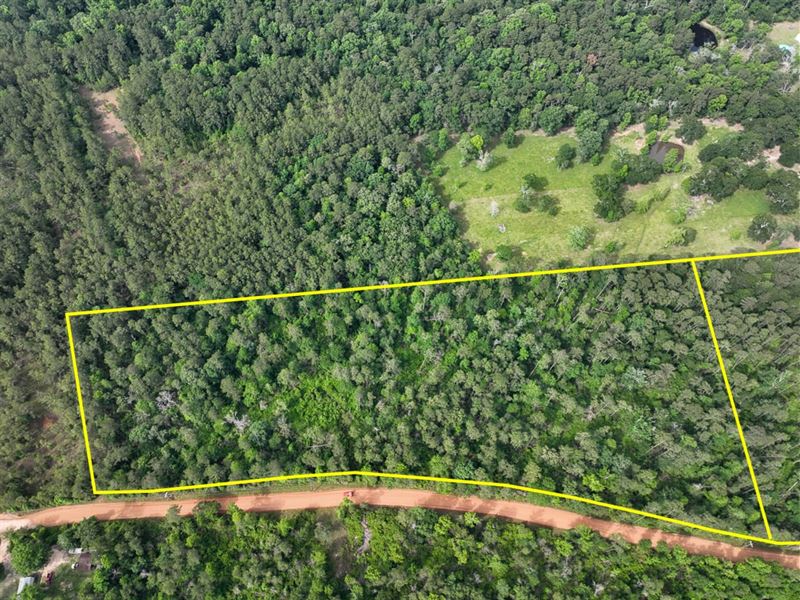11.5 Acres, T-2, Salem Church Roa : Willis : San Jacinto County : Texas