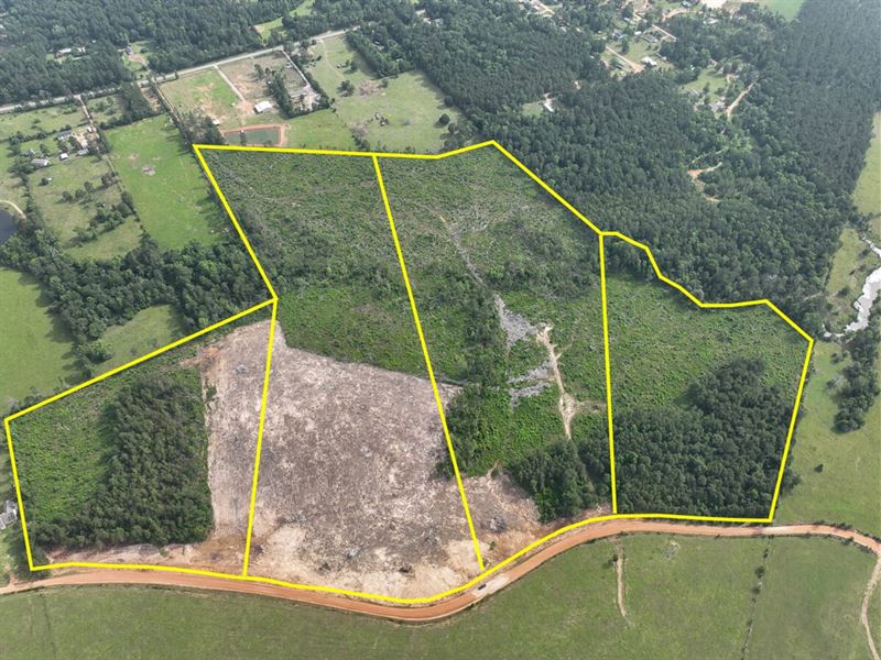28 Acres, T-2, Old Salem Church : Willis : San Jacinto County : Texas