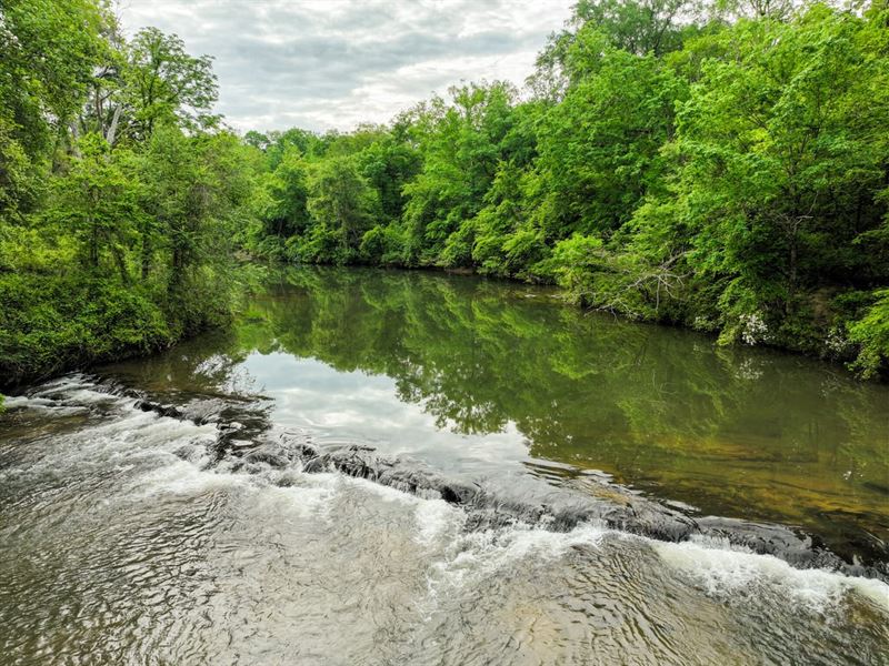 Gorgeous 87 AC Timber Tract with Ha : Rockford : Coosa County : Alabama