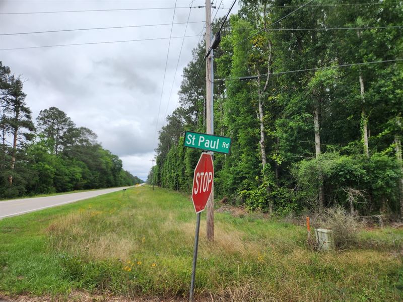 Sportsmans 18 : Sandy Hook : Marion County : Mississippi