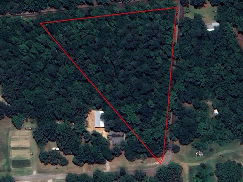 Greens Cut Lot : Waynesboro : Burke County : Georgia
