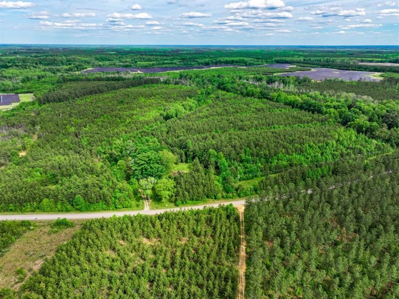 76.66 Acres in Sussex County, VA : Waverly : Madison County : North Carolina