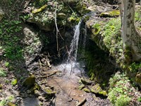 Kelly Hollow Rd, Allegheny County : Monongahela : Allegheny County : Pennsylvania