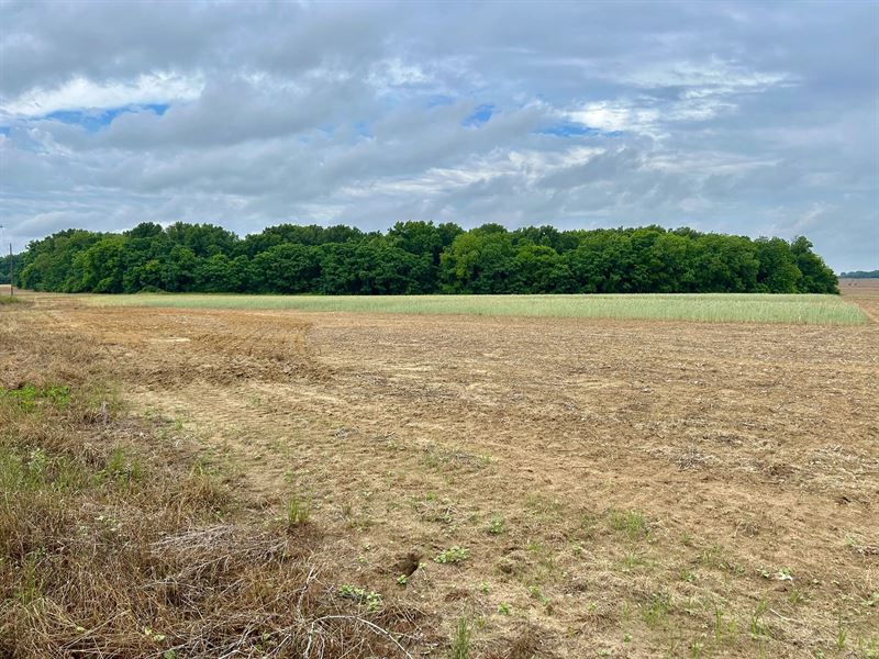 39 Acres in Dooly County, GA : Unadilla : Dooly County : Georgia