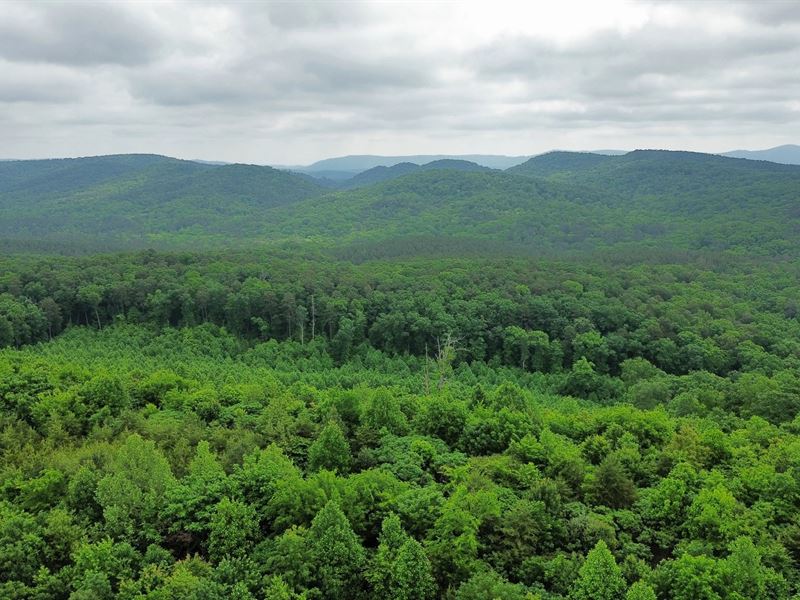 29 Acres in Catoosa County, GA : Ringgold : Catoosa County : Georgia