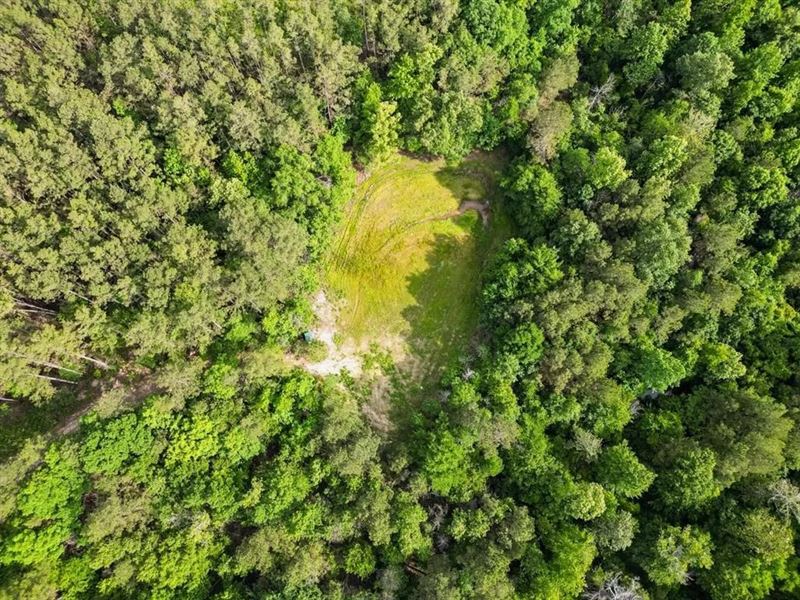586 Hunting Land in The Catahoula : Harrisonburg : Catahoula Parish : Louisiana