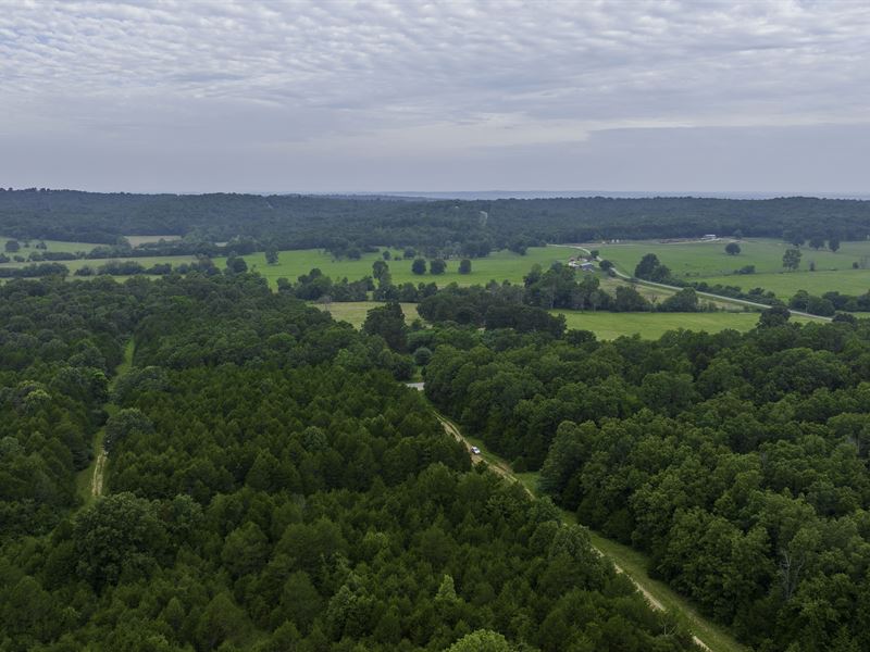 Whitetail Paradise, Creek Access : Horseshoe Bend : Izard County : Arkansas