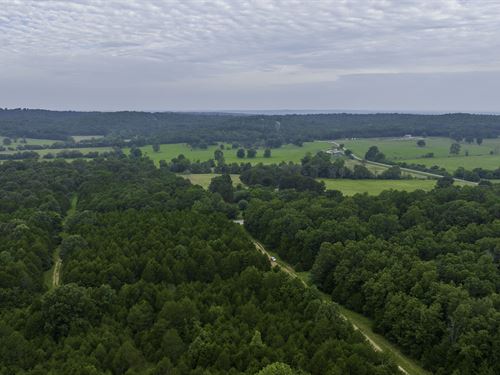 Whitetail Paradise, Creek Access : Horseshoe Bend : Izard County : Arkansas