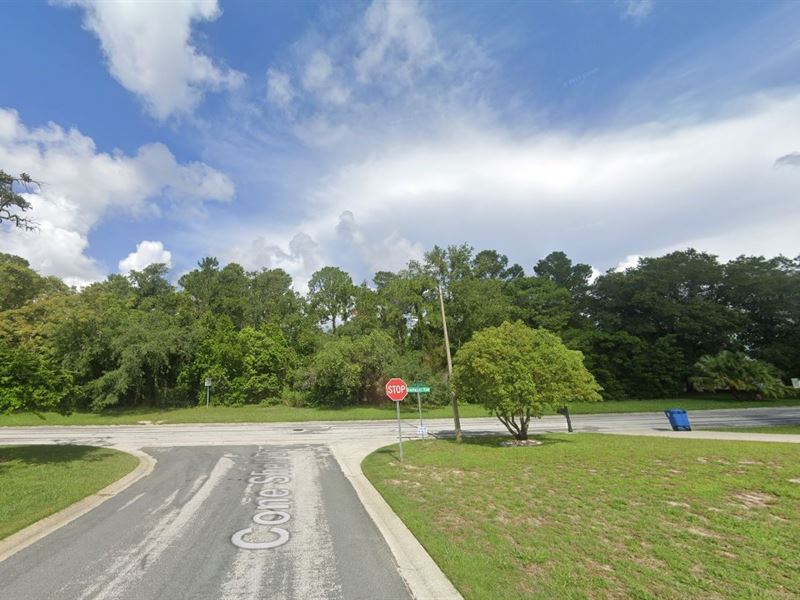 Rare Property, 4.4 Acres of Land : Spring Hill : Hernando County : Florida