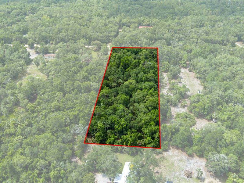 Peaceful Living Near Crystal River : Inglis : Citrus County : Florida