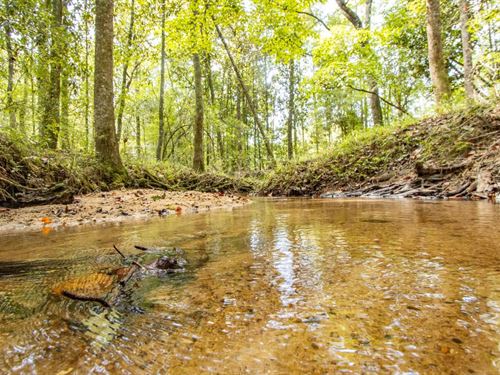 391 Ac Prime Recreation Timber Inve : Graceville : Holmes County : Florida