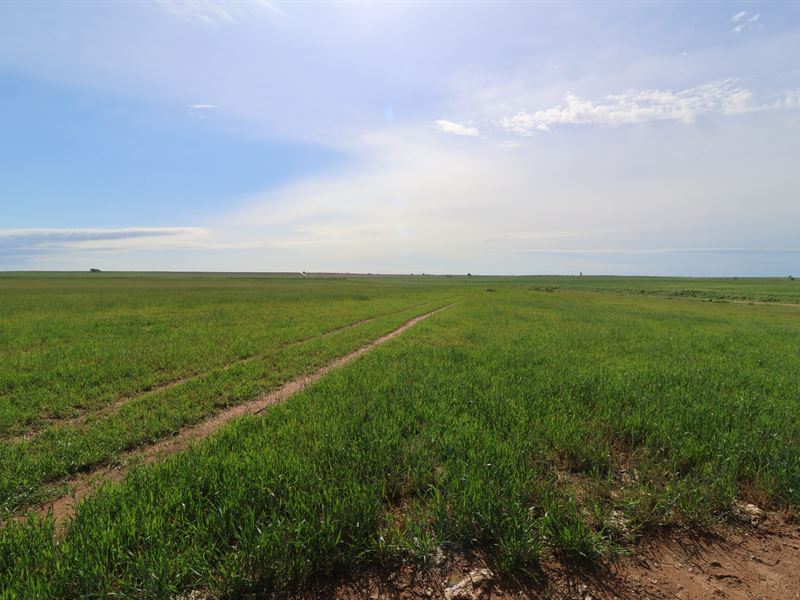 Van Osdol Farm : Jet : Alfalfa County : Oklahoma