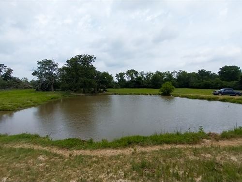 49 Acres, County Road 3465 : Lovelady : Houston County : Texas