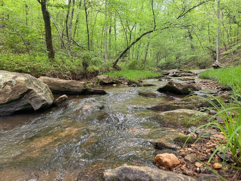 Hunting and Timber Land with Beauti : Rockford : Coosa County : Alabama