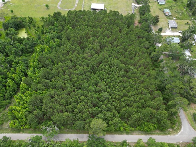 Lake Butler, FL 5.3 AC : Lake Butler : Union County : Florida