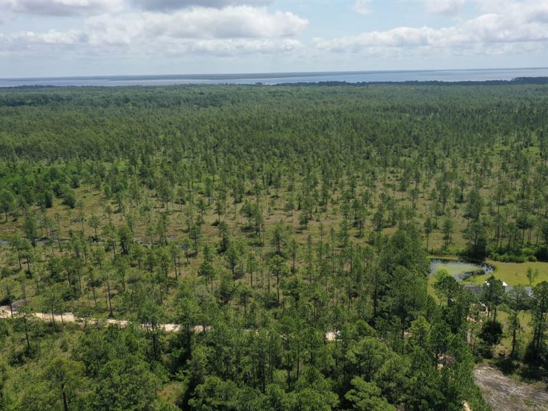 Amazing 1 Acre Lot in Milton, FL : Milton : Santa Rosa County : Florida