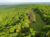 Low Gap 163 : West Fork : Washington County : Arkansas