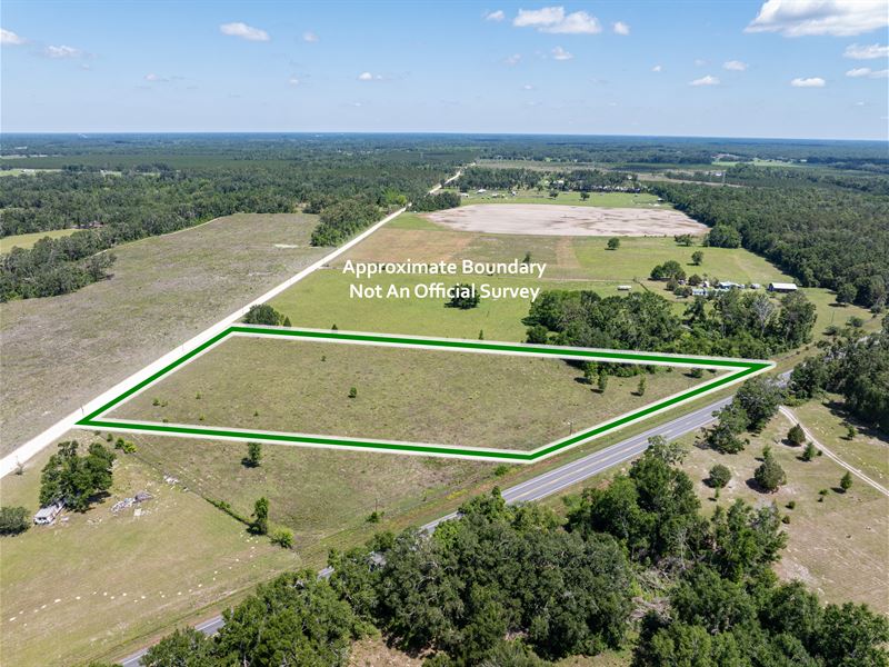 Beautiful 5 Acres : Live Oak : Suwannee County : Florida