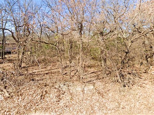 Near Lake Ray Roberts, $361.32 Down : Road Runner : Cooke County : Texas