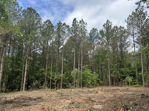 Church Road South 4 Tract : McCool : Choctaw County : Mississippi