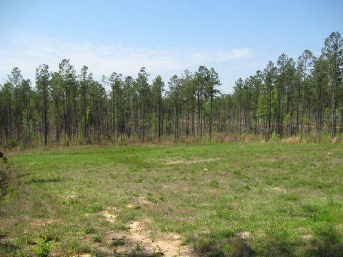 Hill and Dale : 0 : Lee County : Alabama