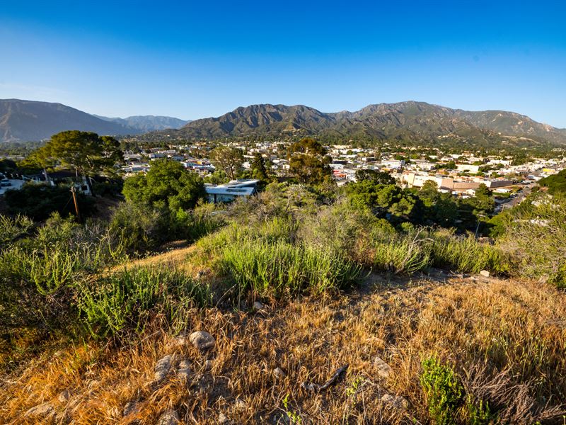 Seller Financing on Two Lots in LA : Los Angeles : Los Angeles County : California