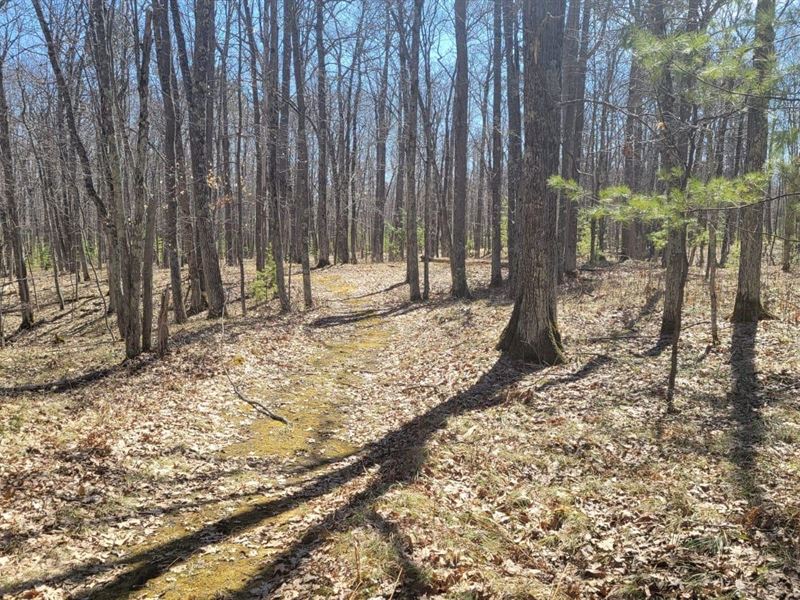 Minocqua Acreage : Minocqua : Oneida County : Wisconsin