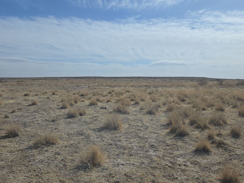 Quiet NM Land, 2 Acres : Deming : Luna County : New Mexico