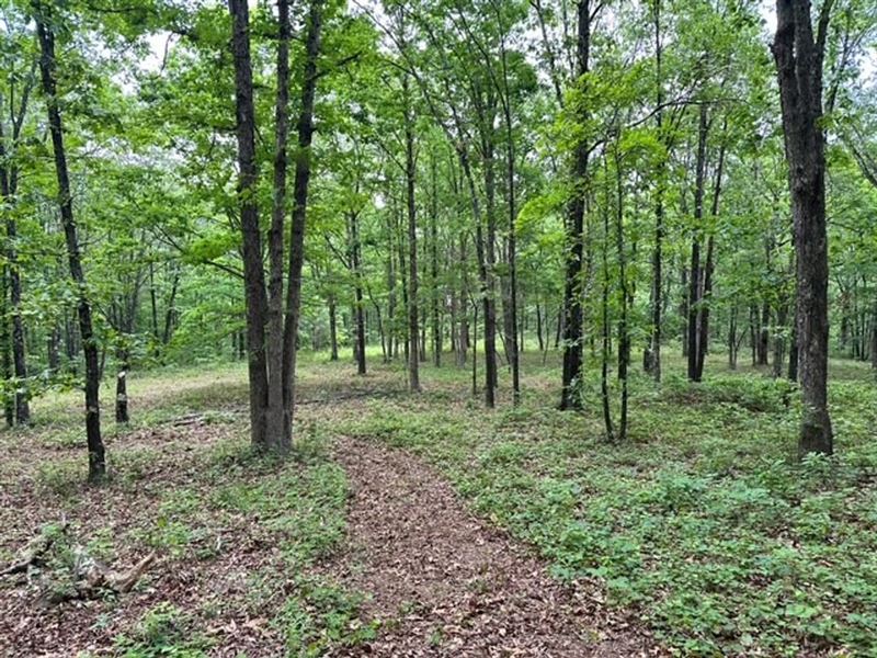 Alread 6.21 : Clinton : Van Buren County : Arkansas