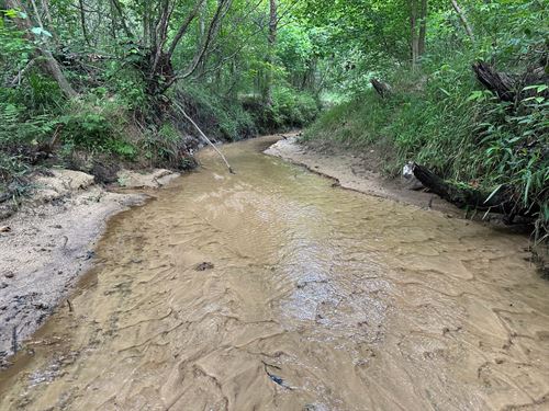 Midway 163 Acres in Bullock Cou : Midway : Bullock County : Alabama